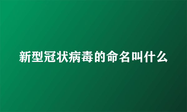 新型冠状病毒的命名叫什么