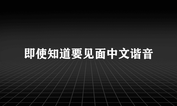 即使知道要见面中文谐音