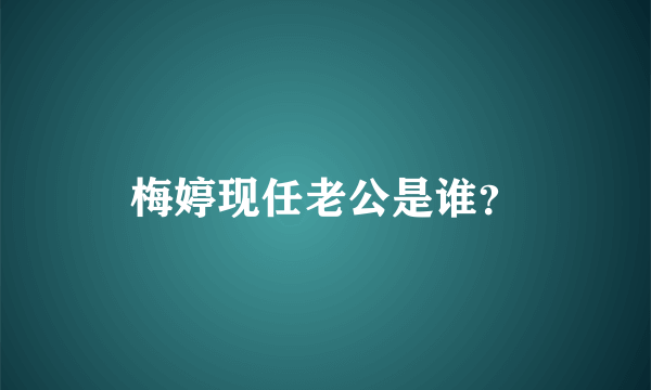 梅婷现任老公是谁？