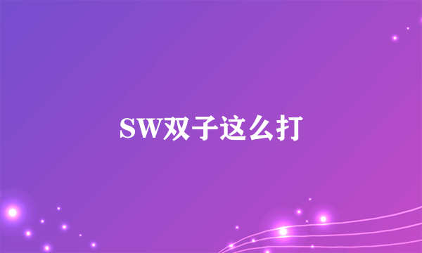 SW双子这么打