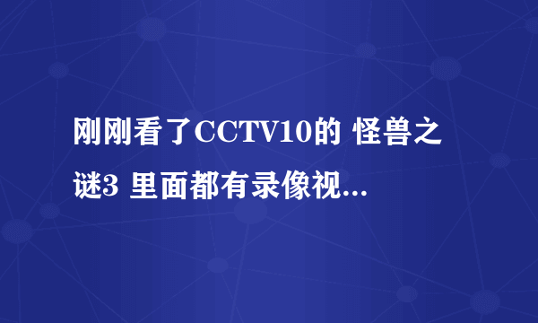 刚刚看了CCTV10的 怪兽之谜3 里面都有录像视频的，不知道是不是真的啊，特别是城市下水道管道里面的那个