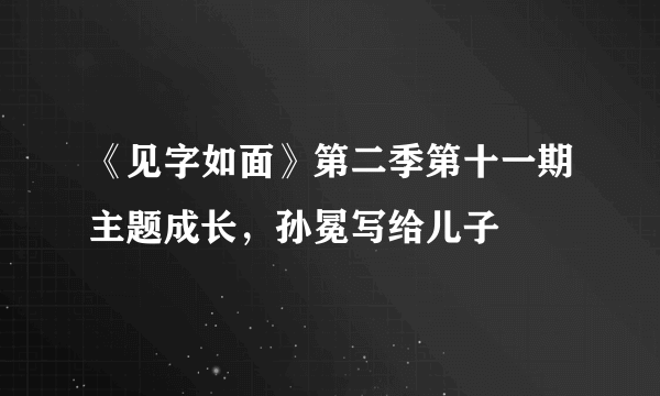 《见字如面》第二季第十一期主题成长，孙冕写给儿子