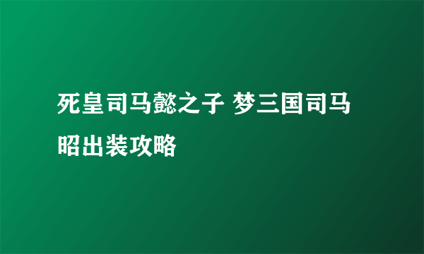 死皇司马懿之子 梦三国司马昭出装攻略