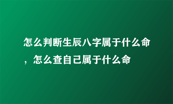 怎么判断生辰八字属于什么命，怎么查自己属于什么命