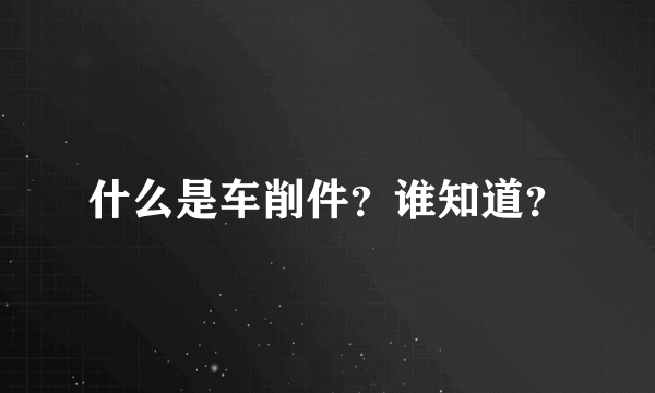 什么是车削件？谁知道？