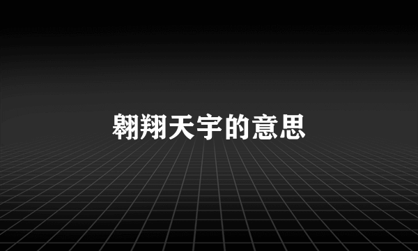 翱翔天宇的意思