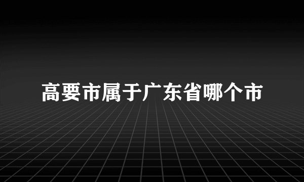 高要市属于广东省哪个市