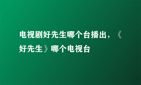 电视剧好先生哪个台播出，《好先生》哪个电视台