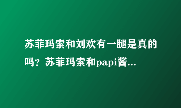 苏菲玛索和刘欢有一腿是真的吗？苏菲玛索和papi酱很像对比图_飞外网