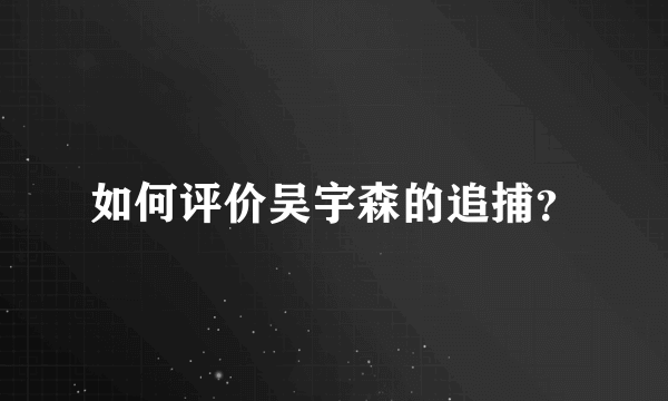 如何评价吴宇森的追捕？