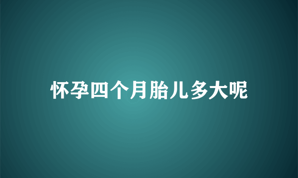 怀孕四个月胎儿多大呢