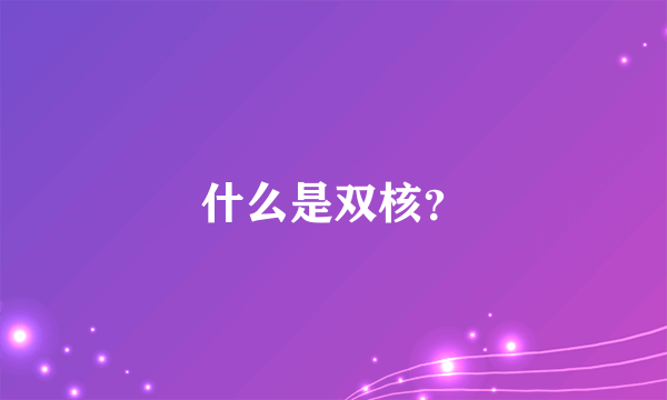 什么是双核？