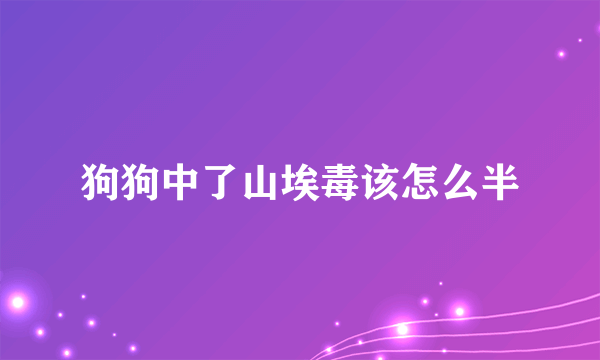 狗狗中了山埃毒该怎么半