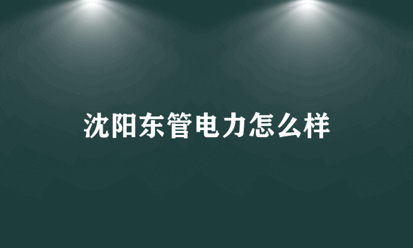 沈阳东管电力怎么样