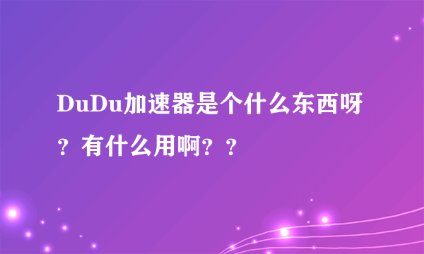 DuDu加速器是个什么东西呀？有什么用啊？？