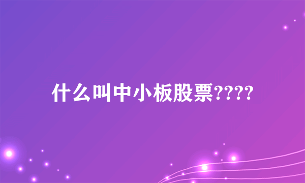 什么叫中小板股票????