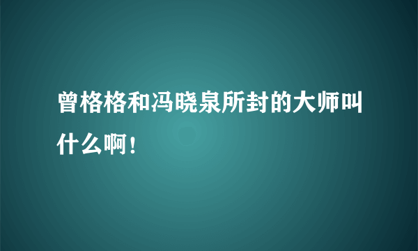 曾格格和冯晓泉所封的大师叫什么啊！