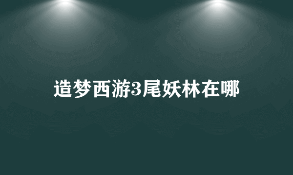 造梦西游3尾妖林在哪