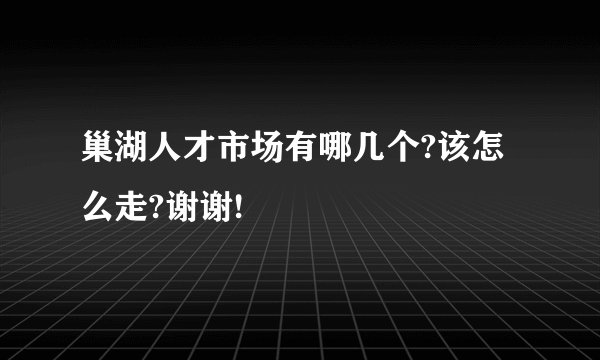 巢湖人才市场有哪几个?该怎么走?谢谢!