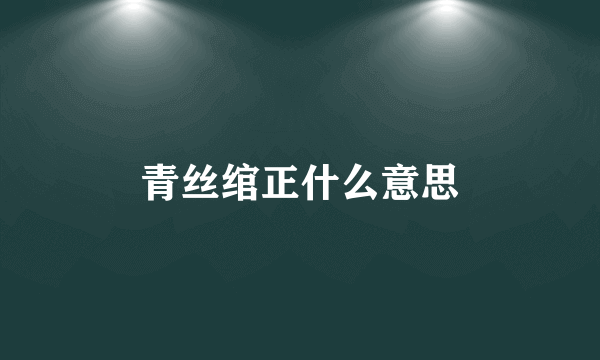 青丝绾正什么意思