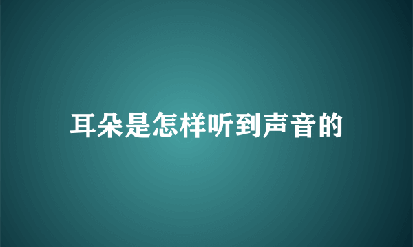 耳朵是怎样听到声音的