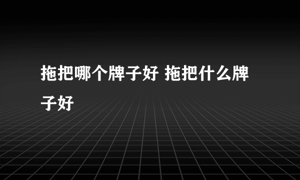 拖把哪个牌子好 拖把什么牌子好