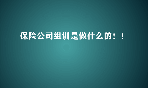 保险公司组训是做什么的！！