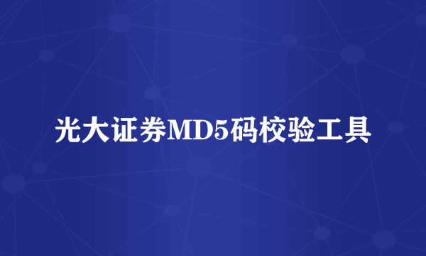 光大证券MD5码校验工具