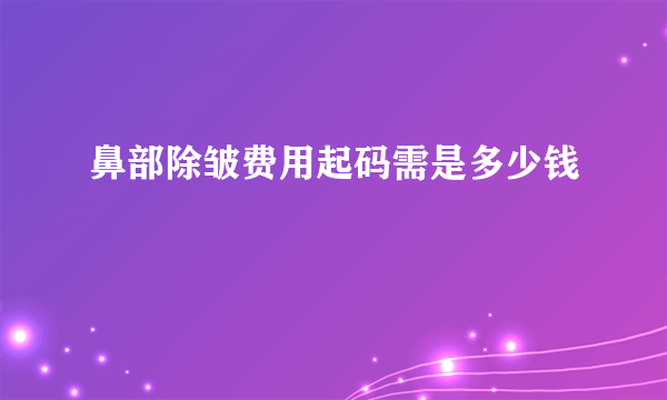 鼻部除皱费用起码需是多少钱