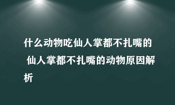 什么动物吃仙人掌都不扎嘴的 仙人掌都不扎嘴的动物原因解析