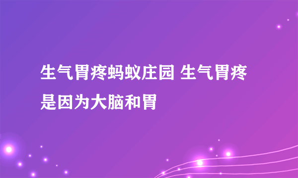 生气胃疼蚂蚁庄园 生气胃疼是因为大脑和胃