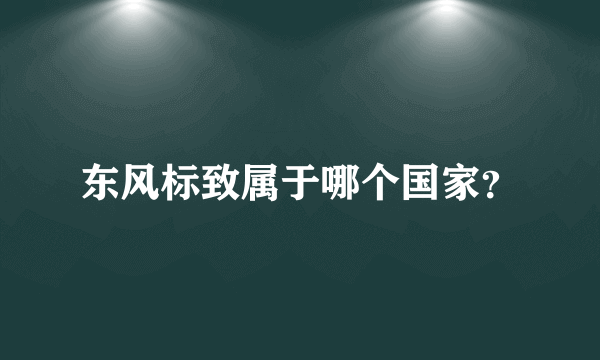 东风标致属于哪个国家？