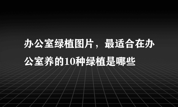 办公室绿植图片，最适合在办公室养的10种绿植是哪些