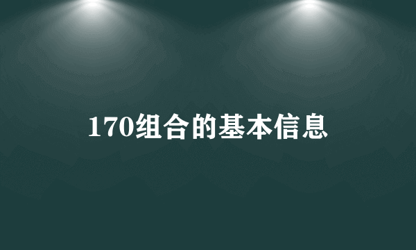 170组合的基本信息