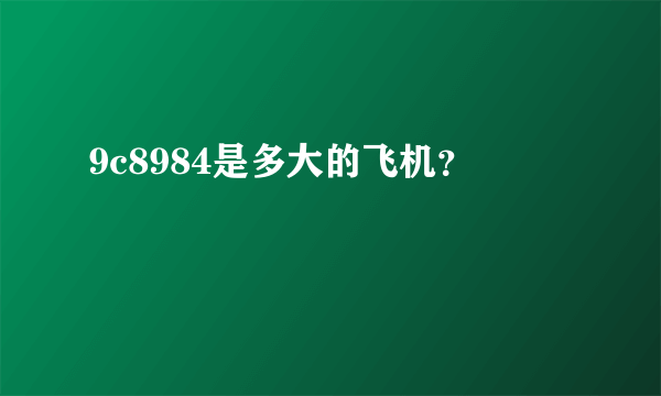 9c8984是多大的飞机？