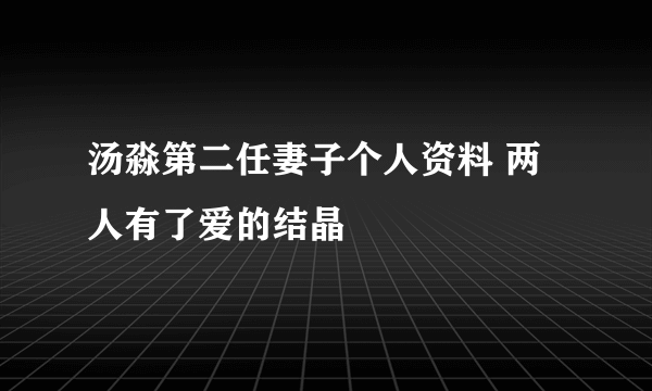 汤淼第二任妻子个人资料 两人有了爱的结晶