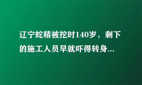 辽宁蛇精被挖时140岁，剩下的施工人员早就吓得转身就跑-飞外网