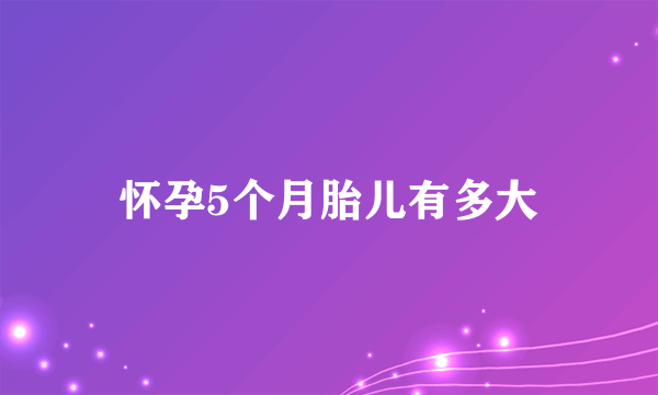 怀孕5个月胎儿有多大