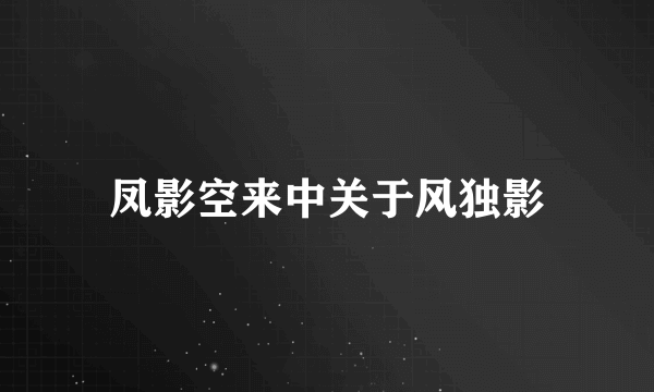 凤影空来中关于风独影