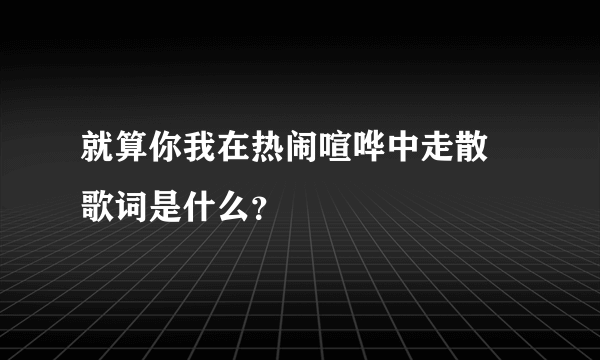 就算你我在热闹喧哗中走散 歌词是什么？