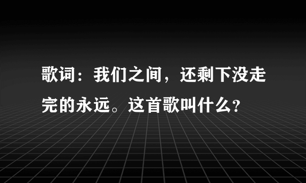 歌词：我们之间，还剩下没走完的永远。这首歌叫什么？