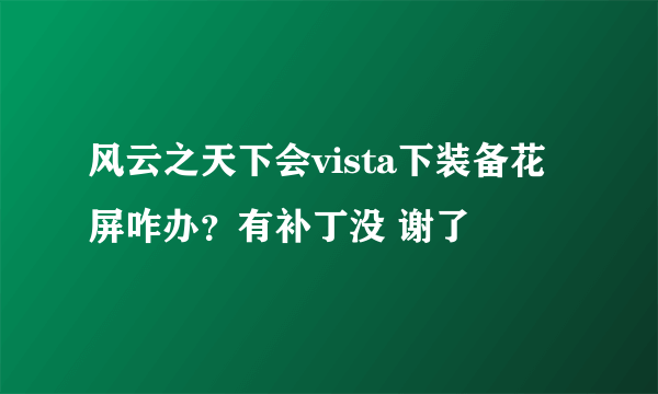 风云之天下会vista下装备花屏咋办？有补丁没 谢了