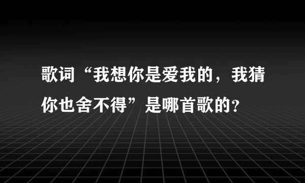 歌词“我想你是爱我的，我猜你也舍不得”是哪首歌的？