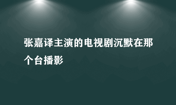 张嘉译主演的电视剧沉默在那个台播影