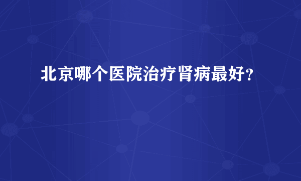 北京哪个医院治疗肾病最好？