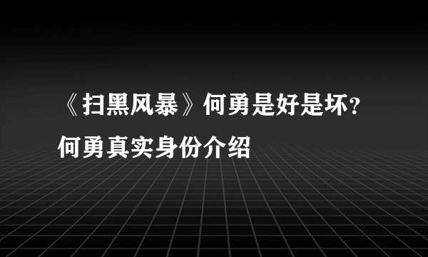 《扫黑风暴》何勇是好是坏？何勇真实身份介绍