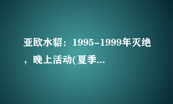 亚欧水貂：1995-1999年灭绝，晚上活动(夏季活动范围广)-飞外网