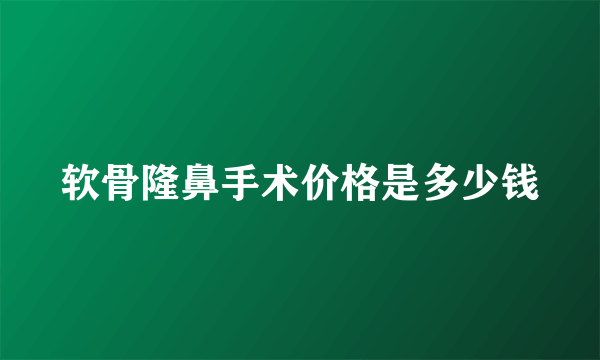 软骨隆鼻手术价格是多少钱