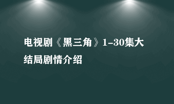 电视剧《黑三角》1-30集大结局剧情介绍