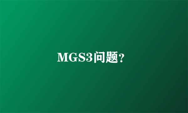 MGS3问题？